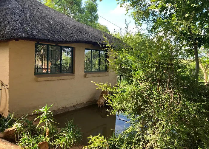 Cave View Self Catering Silo